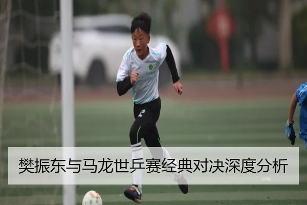 樊振东与马龙世乒赛经典对决深度分析